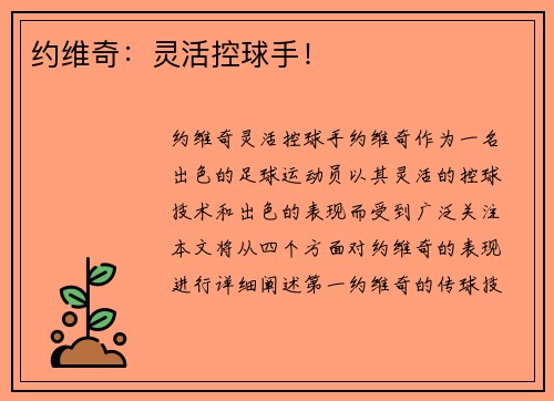 约维奇：灵活控球手！